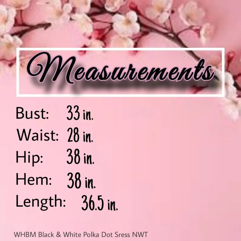 White House Black Market Sheath Dress with Ruffled Bottom Size 4 - Picture 12 of 12